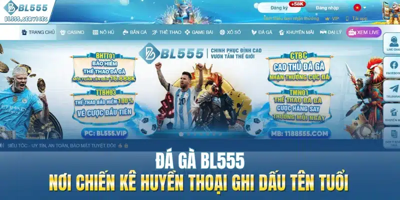 Đá Gà BL555 – Nơi Chiến Kê Huyền Thoại Ghi Dấu Tên Tuổi