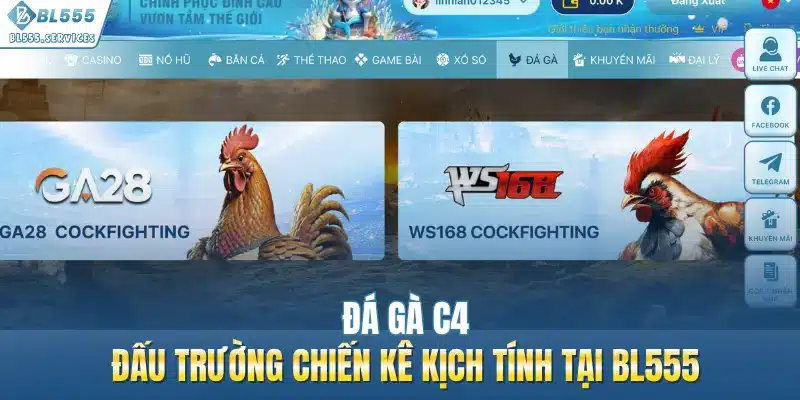 Đá Gà C4 - Đấu Trường Chiến Kê Kịch Tính Tại BL555 