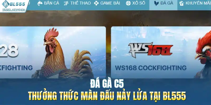 Đá Gà C5: Thưởng Thức Màn Đấu Nảy Lửa Tại BL555