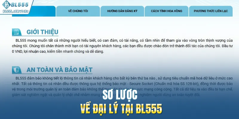 Sơ lược về đại lý tại BL555