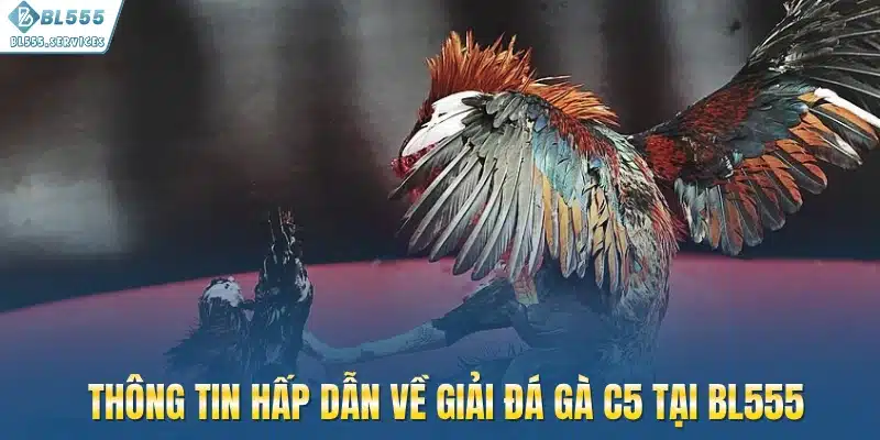 Thông tin hấp dẫn về giải đá gà C5 tại BL555