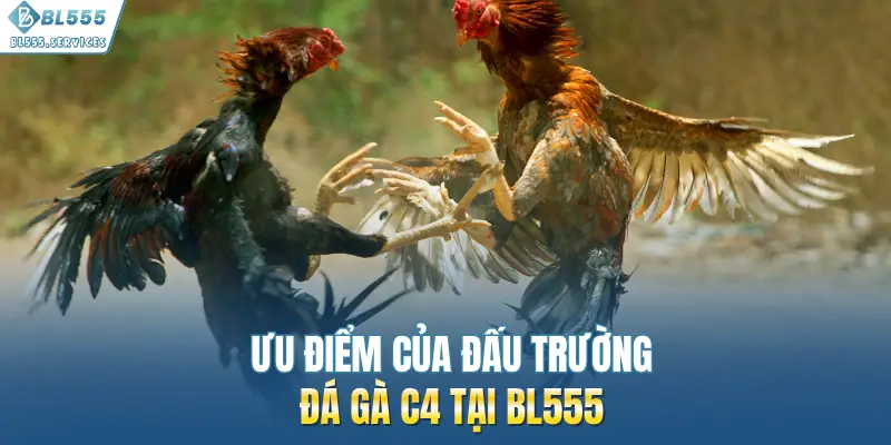 Ưu điểm của đấu trường đá gà C4 tại BL555
